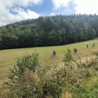 IMG20251004120401