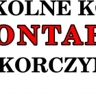 wolontariat z tłem