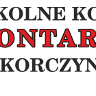 wolontariat bez tła