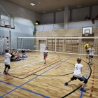 IMG_20260212_172934